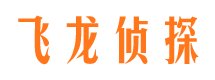 合江市婚外情调查